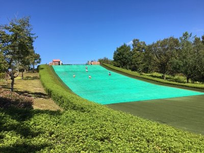 🌳 시민 사계절의 숲 (시민 시키노모리) 이미지 2